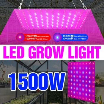 1000W 1500W Grow Light Светодиодная Тепличная Фитолампа Полного Спектра Растительного Света Квантовая Доска Фито Лампа Для Выращивания Семян В Палатке Цветок